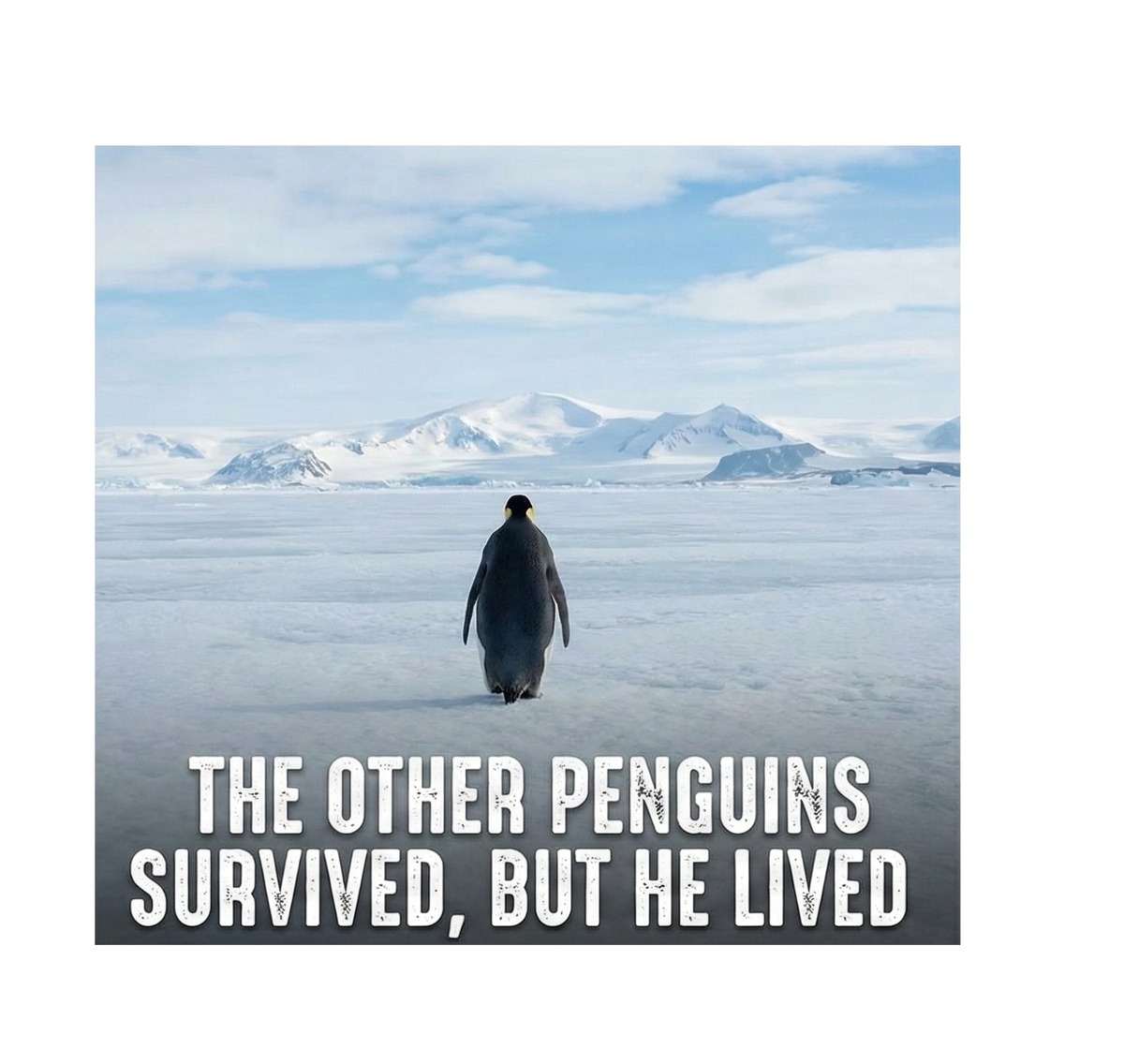 Erkek Survivor Penguin Baskılı 3 İplik Pamuklu Kapüşonlu Sweatshirt Hoodie Beyaz