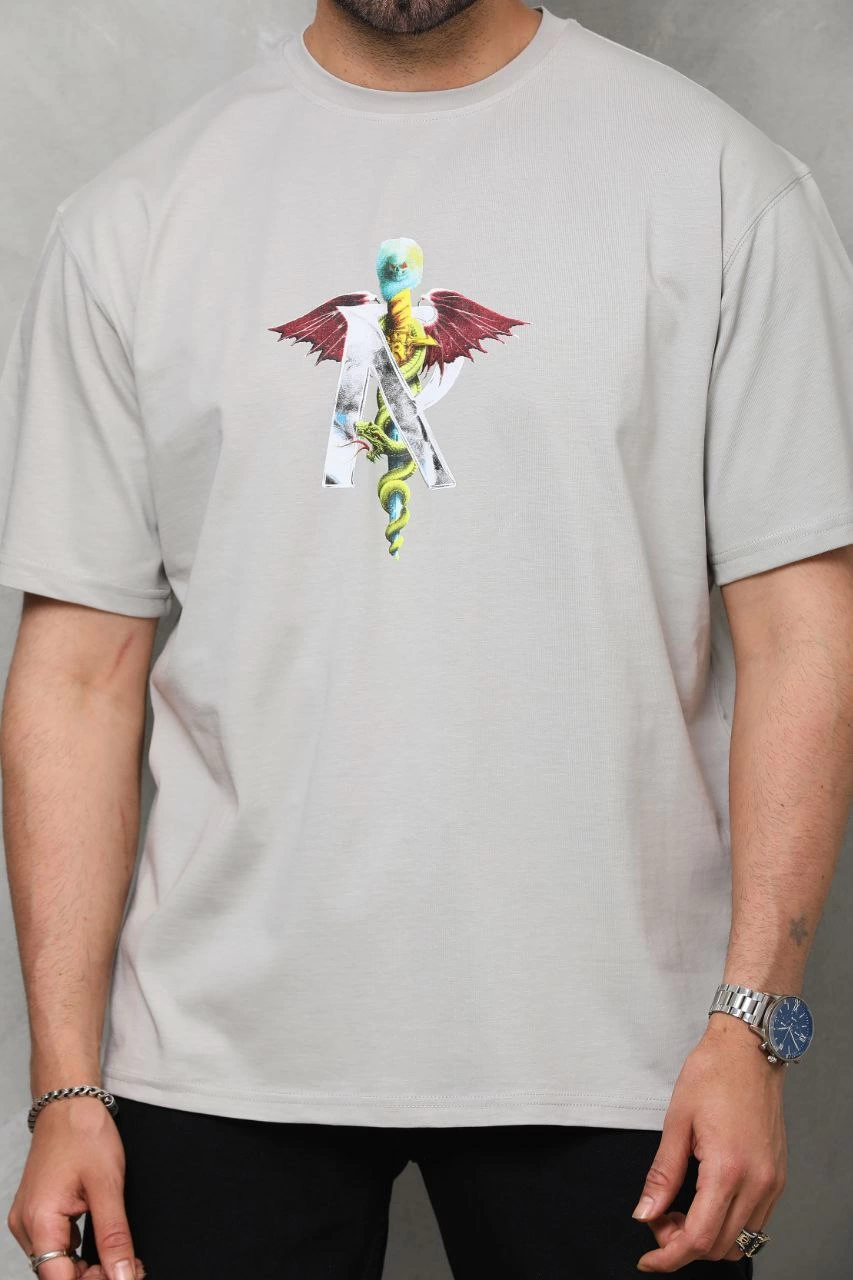 Erkek Baskılı T-Shirt Kısa Kol Bisiklet Yaka Regular Fit Rahat Kalıp Tişört -  Gri